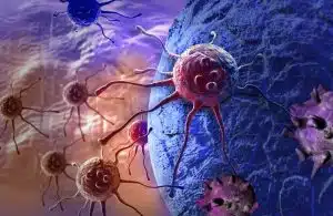 Cancer cells