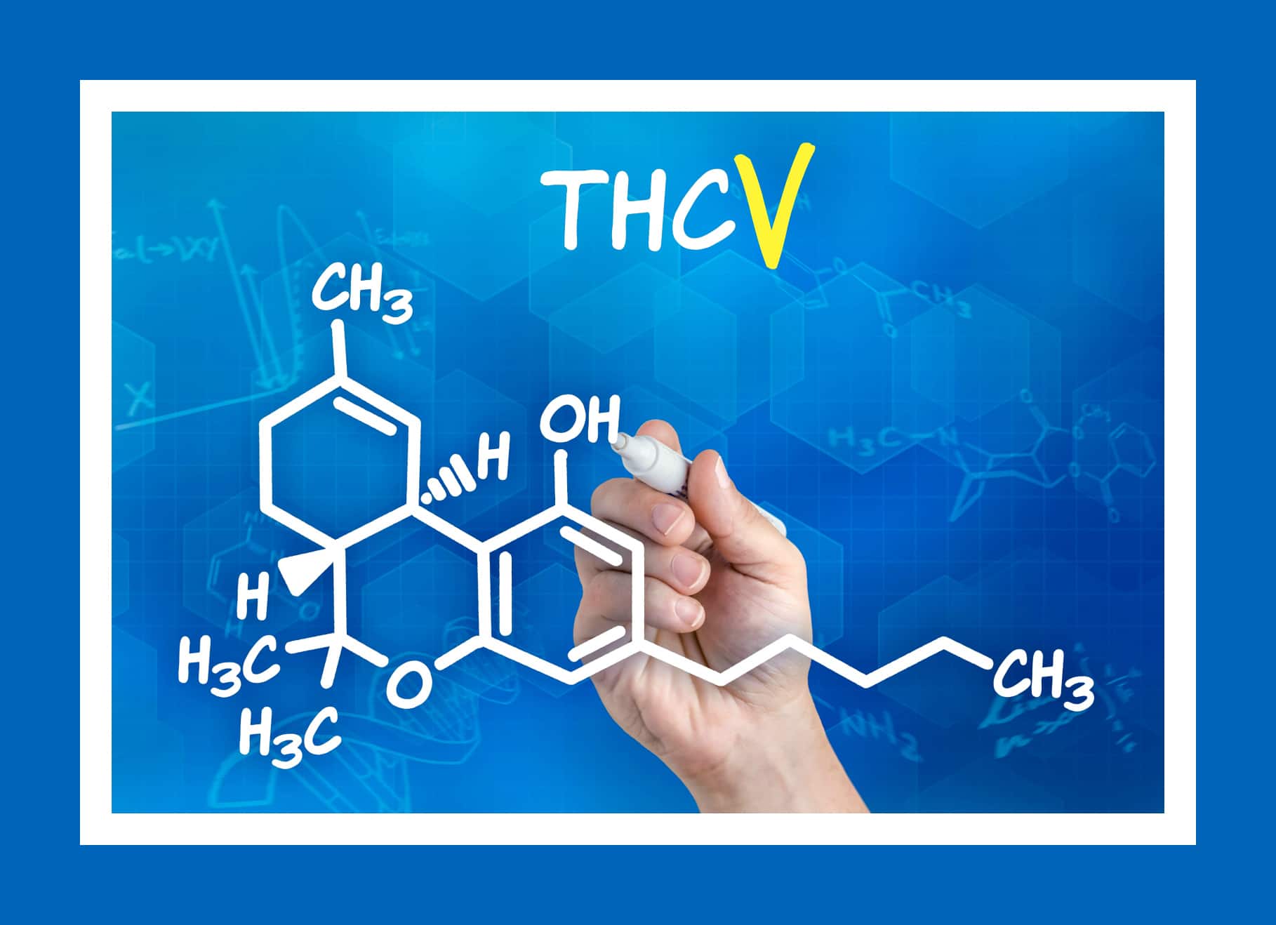 WHAT IS THCV? - Thcv|Thc|Effects|Cannabinoid|Cannabinoids|Cannabis|Strains|Cbd|Products|Research|Benefits|Receptors|Doses|Studies|Hemp|Marijuana|Cb1|Body|Tetrahydrocannabivarin|Plant|Study|People|System|Drug|Receptor|Plants|Users|Properties|Diabetes|Disease|Side|Product|Compound|Appetite|Effect|Levels|Cb2|Brain|Cbg|States|Psychoactive Effects|Cb2 Receptors|Weight Loss|Thcv Products|Low Doses|Cb1 Receptors|Endocannabinoid System|United States|High Doses|Potential Benefits|Cannabis Plants|Cb1 Receptor|Cannabinoid Receptors|Molecular Structure|Psychoactive Properties|Large Doses|Nervous System|Cannabis Plant|Cannabis Strains|Thcv Effects|Durban Poison|Farm Bill|Drug Test|View Abstract|Animal Studies|Immune System|Hemp Plants|Small Doses|High Thcv Strains|Marijuana Strains