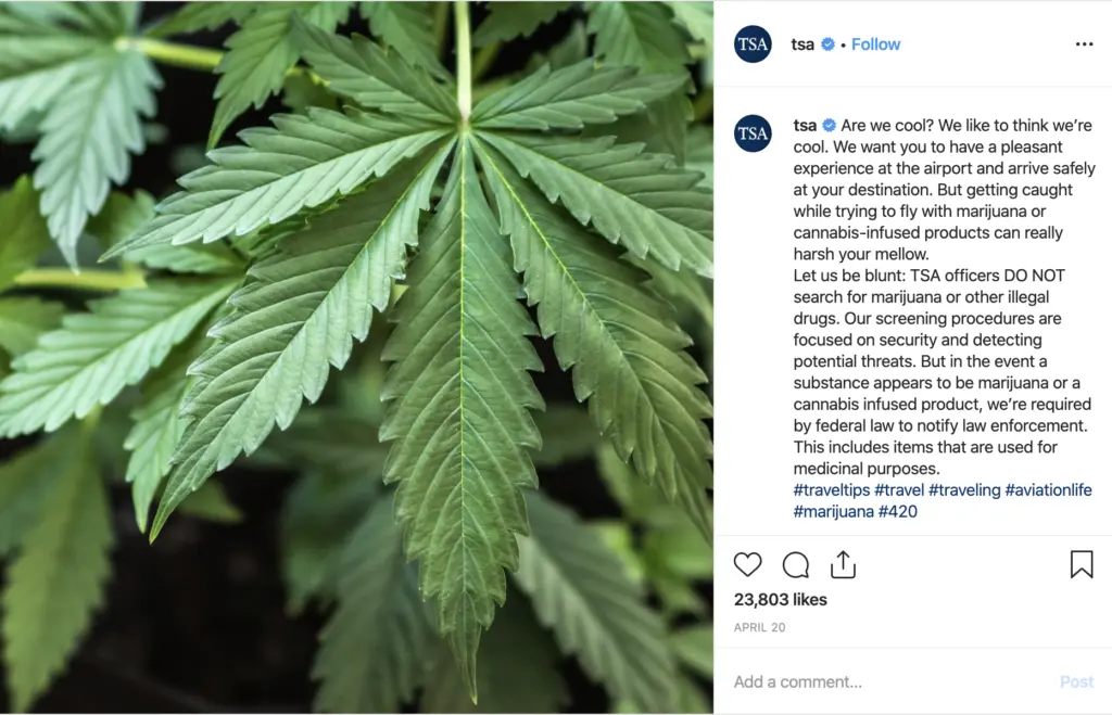 TSA Marijuana