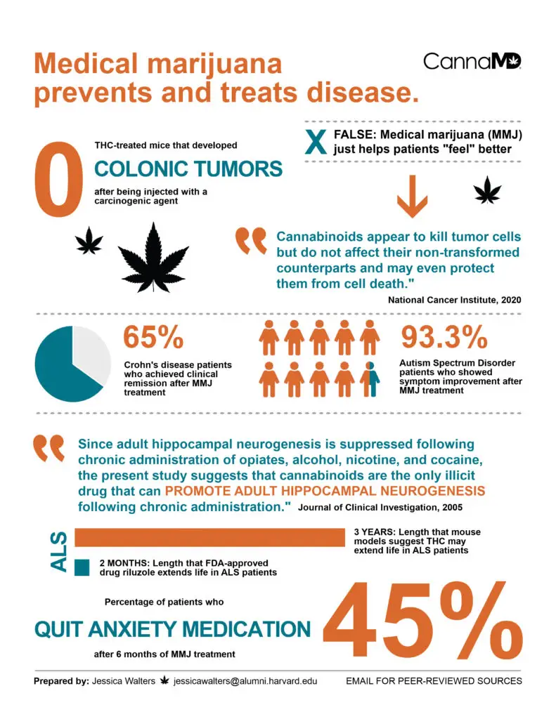 Marijuana Treats Disease Infographic