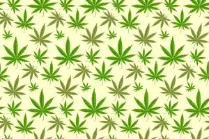 420 Marijuana Sales 2021