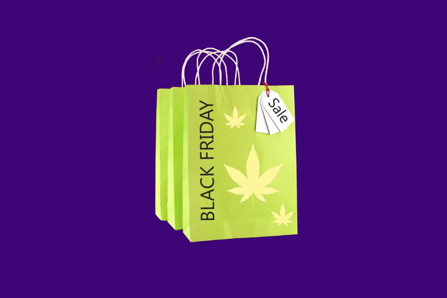 Black Friday Florida Marijuana Sales 2021
