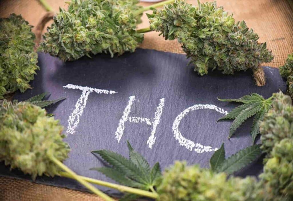 High THC Helps Medical Conditions