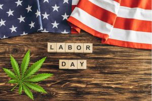 Cannabis labor day