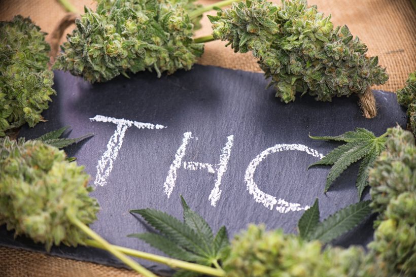 High THC Helps Medical Conditions