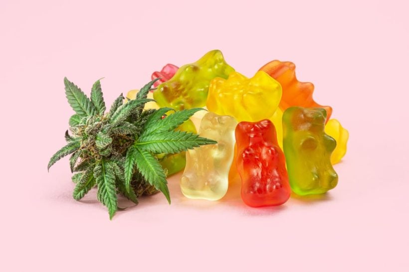 CBD edibles on pink background