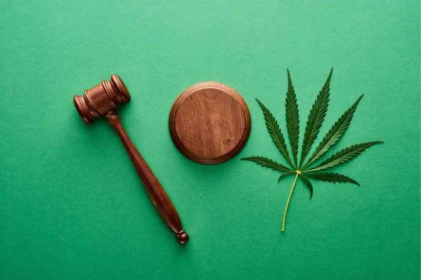 Every Florida Medical Marijuana Law