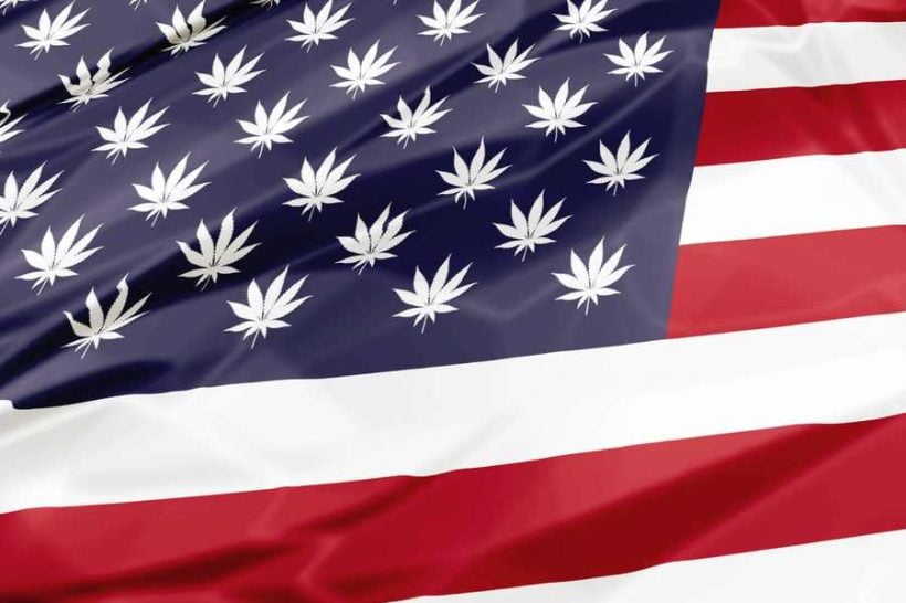 american flag with cannabis leaves instead of stars