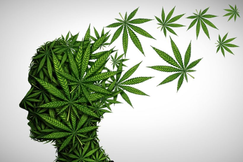 Marijuana Effects On The Brain