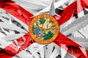 florida state flag marijuana leaves