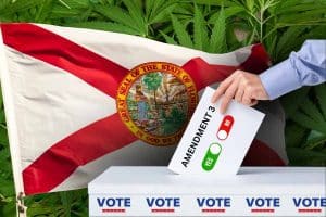 florida voting for recreational marijuana amendment 3 image