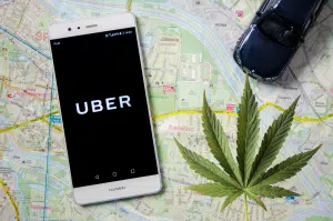 uber app on a map with cannabis leaf
